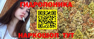 ешки Лесосибирск