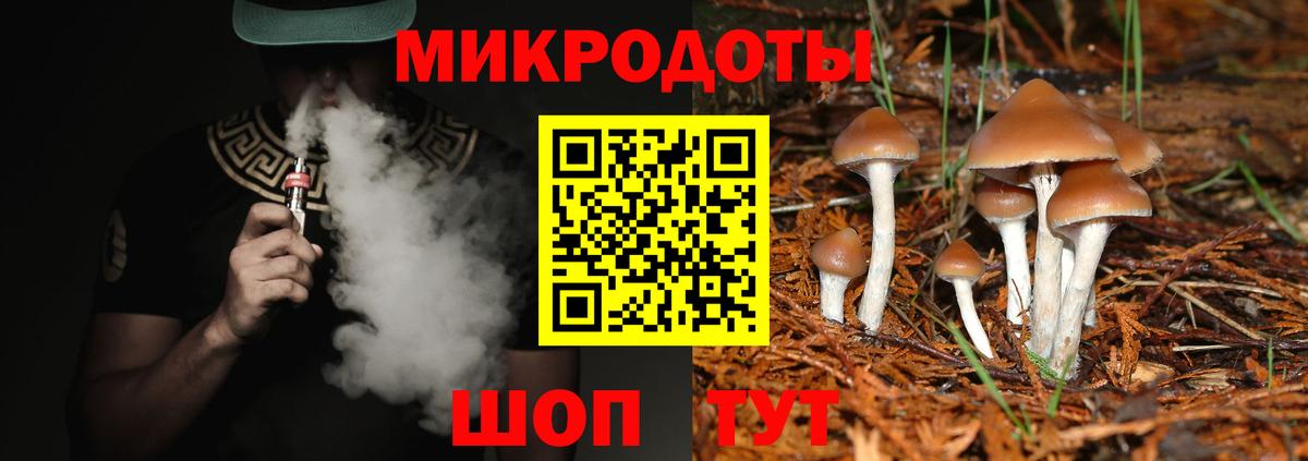 Псилоцибиновые грибы Cubensis  Галлюциногенные грибы Psilocybe  что такое   Вход с VPN  Жуковский 